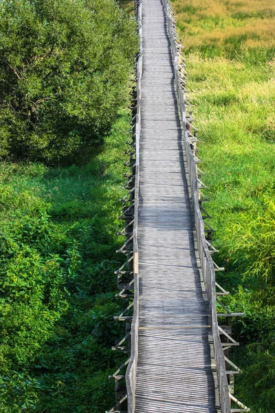Длинный деревянный мост через болота — стоковое фото