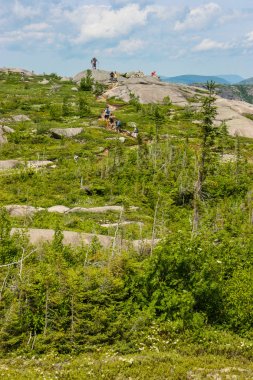 Grup parc des grands-jardins üstünde tepe-in gidiş yürüyüşçü