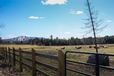 inek ve Kayak pistleri