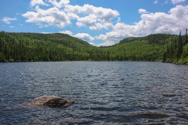 lac des cygnes, Grands-Jardins Quebec Kanada Ulusal Parkı