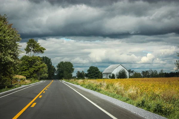 Estrada que atravessa campos — Fotografia de Stock