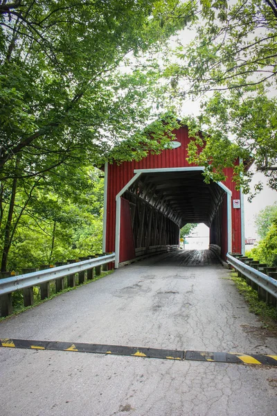 ormandaki yaşlı kapalı köprü