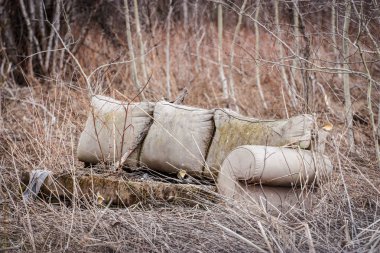 Kanepe alanını terk edilmiş