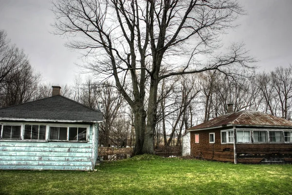 Dos casa vieja y un gran árbol — Foto de Stock