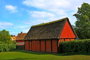 çatı thatched yazlık 