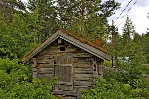 Güzel bulutlu fiyort manzarası ve önünde taşlar olan bir yol. Norveç.