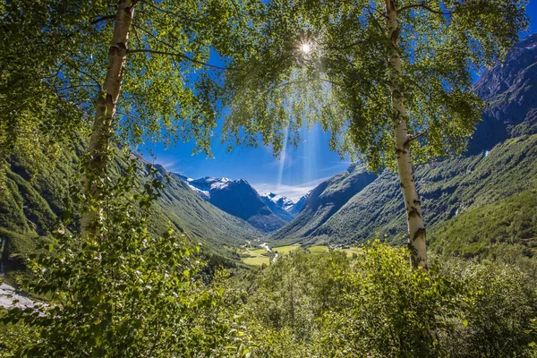 Güzel Bulutlu Fiyort Manzarası Önünde Taşlar Olan Bir Yol Norveç — Stok fotoğraf