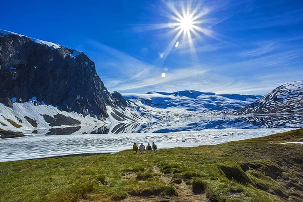 Güzel Bulutlu Fiyort Manzarası Önünde Taşlar Olan Bir Yol Norveç — Stok fotoğraf