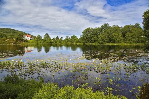 Güzel bulutlu fiyort manzarası ve önünde taşlar olan bir yol. Norveç.
