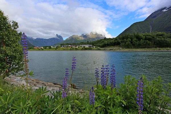 Fjordlandskap Med Vackra Moln Och Väg Med Stenar Framför Norge — Stockfoto