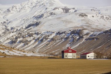İzlanda 'da geleneksel çiftlik