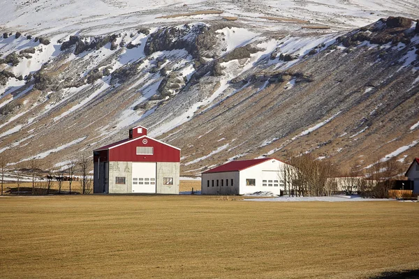 Traditionele Boerderij Ijsland — Stockfoto