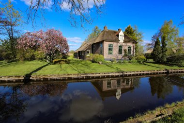 Kanal Kuzey Venedik olarak da adlandırılan giethoorn içinde bir yer tipik evleri ve bitkiler ve çiçekler ile Hollanda'da