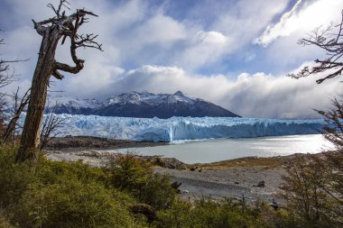 Perito Moreno Buzulu Arjantin Gölü, Los Glaciares Ulusal Parkı, El Calafate, Patagonya, Arjantin