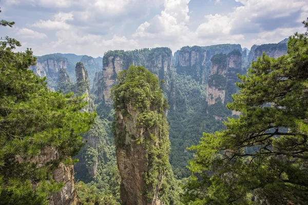 Pics Montagne Dans Parc Forestier National Zhangjiajie Chine — Photo