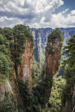 Zhangjiajie Ulusal Orman Parkı 'ndaki Dağ Tepeleri, Çin