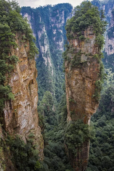 Pics Montagne Dans Parc Forestier National Zhangjiajie Chine — Photo