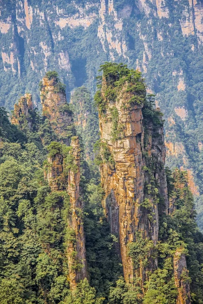 Picos Montaña Zhangjiajie National Forest Park China —  Fotos de Stock