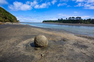 Ağaç kardeşler ve fil kaya plajı, Kuzey Adası, Yeni Zelanda