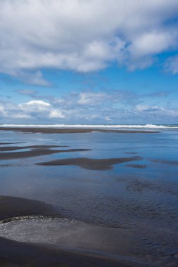 Ağaç kardeşler ve fil kaya plajı, Kuzey Adası, Yeni Zelanda
