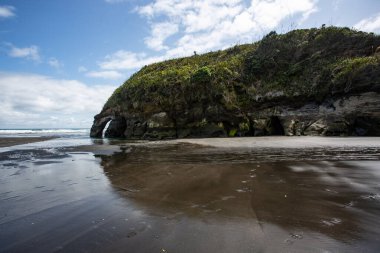 Ağaç kardeşler ve fil kaya plajı, Kuzey Adası, Yeni Zelanda