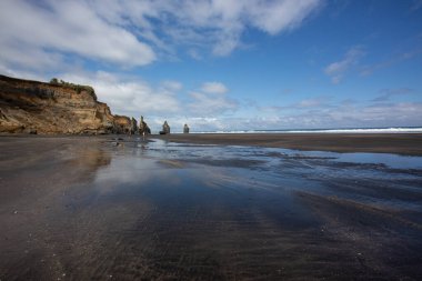 Ağaç kardeşler ve fil kaya plajı, Kuzey Adası, Yeni Zelanda