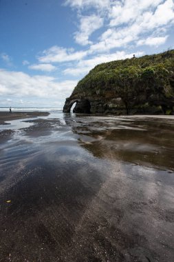 Ağaç kardeşler ve fil kaya plajı, Kuzey Adası, Yeni Zelanda