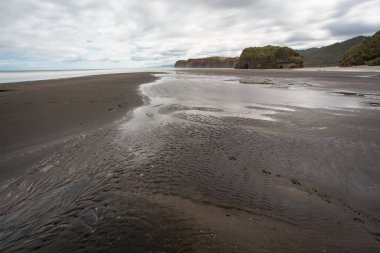 Ağaç kardeşler ve fil kaya plajı, Kuzey Adası, Yeni Zelanda