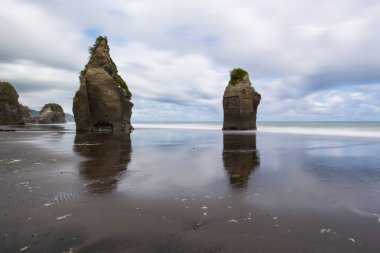 Ağaç kardeşler ve fil kaya plajı, Kuzey Adası, Yeni Zelanda