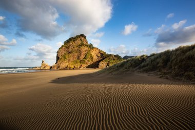 Piha Sahili 'ndeki kum tepeleri, Yeni Zelanda