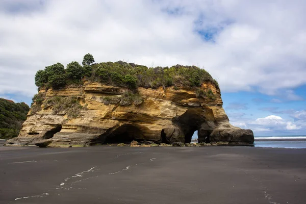 Baumschwestern Und Elefantenfelsenstrand Nordinsel Neuseeland — Stockfoto