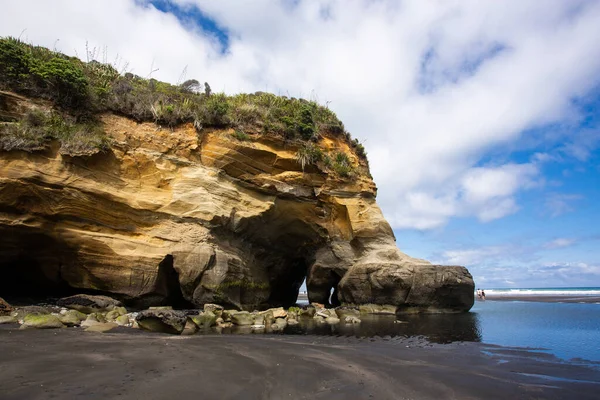 新西兰北岛的树姐姐和大象岩石海滩 — 图库照片