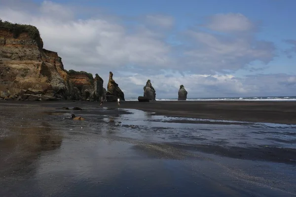 Strom Sestry Slon Rock Pláž Severní Ostrov Nový Zéland — Stock fotografie