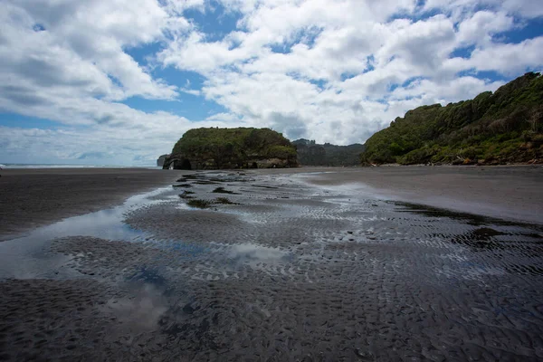 Hermanas Árboles Elefante Playa Roca Isla Norte Nueva Zelanda — Foto de Stock