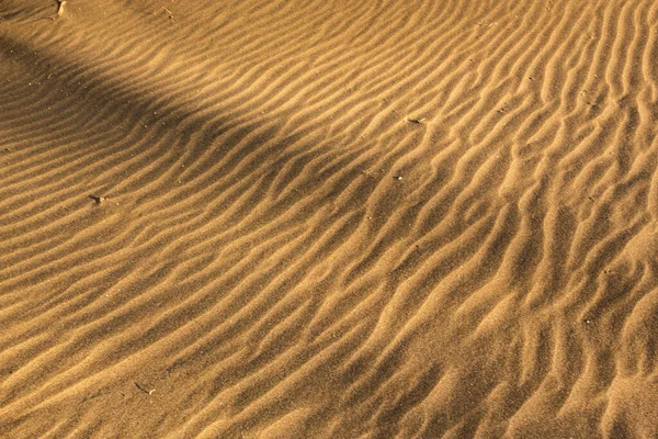 Písečné Duny Pláži Piha Nový Zéland — Stock fotografie