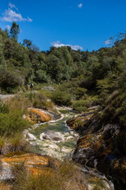 Erimiş çekirdekten fışkıran zengin mineral yüklü su silikon terasın kenarında bu canlı mavi göleti oluşturdu. Waimangu Volkanik Vadisi, Yeni Zelanda