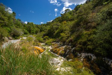 Erimiş çekirdekten fışkıran zengin mineral yüklü su silikon terasın kenarında bu canlı mavi göleti oluşturdu. Waimangu Volkanik Vadisi, Yeni Zelanda
