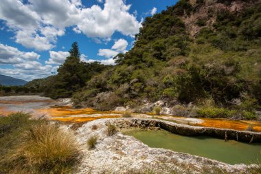 Warbrick Terasları, Waimangu Volkanik Vadisi, Yeni Zelanda