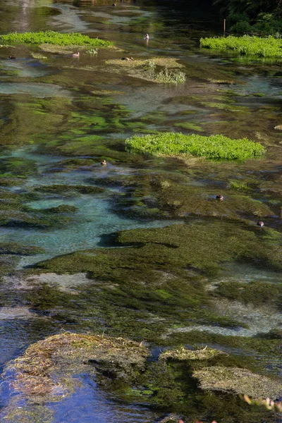 Blue Spring Putaruru Nieuw Zeeland — Stockfoto