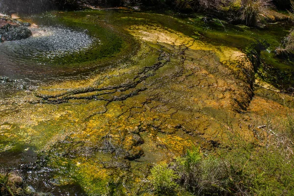 富含矿物质的水从熔融的岩心中喷出 在石碑台边缘形成了一个鲜明的蓝色池塘 Waimangu Volcanic Valley 新西兰 — 图库照片