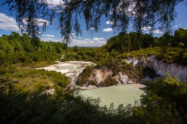 Yeni Zelanda, Rotorua, Wai-O-Tapu Termal Harikalar Diyarı, Ngakoro Gölü