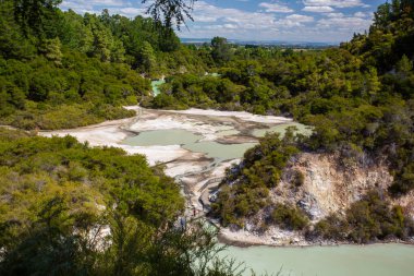 Yeni Zelanda, Rotorua, Wai-O-Tapu Termal Harikalar Diyarı, Ngakoro Gölü
