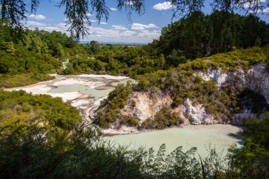Yeni Zelanda, Rotorua, Wai-O-Tapu Termal Harikalar Diyarı, Ngakoro Gölü