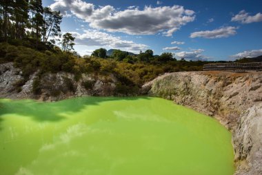 Wai-O-Tapu termal harikalar diyarı, Rotorua, Kuzey Adası, Yeni Zelanda 'da Şeytan Hamamı' nın yeşil göleti.