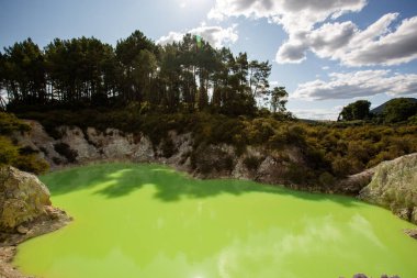 Wai-O-Tapu termal harikalar diyarı, Rotorua, Kuzey Adası, Yeni Zelanda 'da Şeytan Hamamı' nın yeşil göleti.