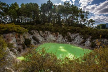 Wai-O-Tapu termal harikalar diyarı, Rotorua, Kuzey Adası, Yeni Zelanda 'da Şeytan Hamamı' nın yeşil göleti.