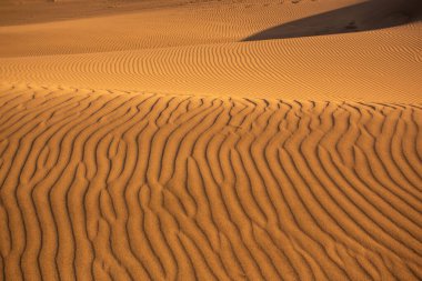 Yeni Zelanda, Nelson 'daki Wharariki Sahili yakınlarındaki kum tepelerinin görüntüsü