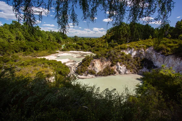Yeni Zelanda, Rotorua, Wai-O-Tapu Termal Harikalar Diyarı, Ngakoro Gölü