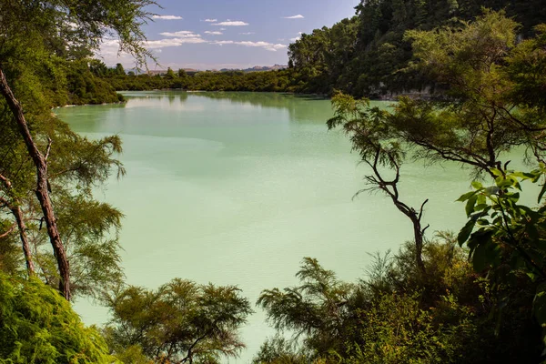 Nueva Zelanda Rotorua Wai Tapu Termal Wonderland Lago Ngakoro — Foto de Stock