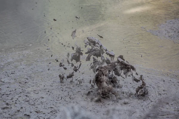 新西兰罗托鲁阿Wai Tapu地热仙境的热气泡泥池喷发 — 图库照片
